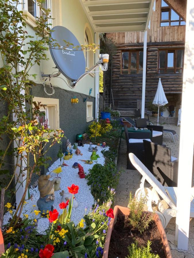 Kleines Haus Silberdistel Διαμέρισμα Todtmoos Εξωτερικό φωτογραφία